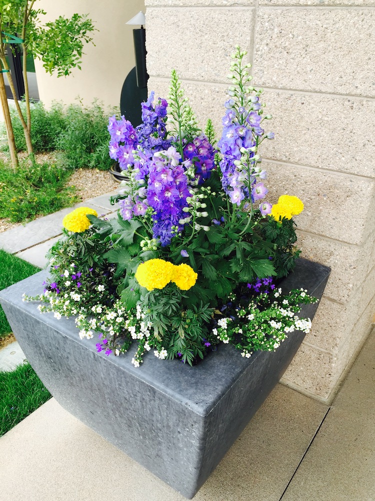 A to Z Tree & Turf Landscape Project