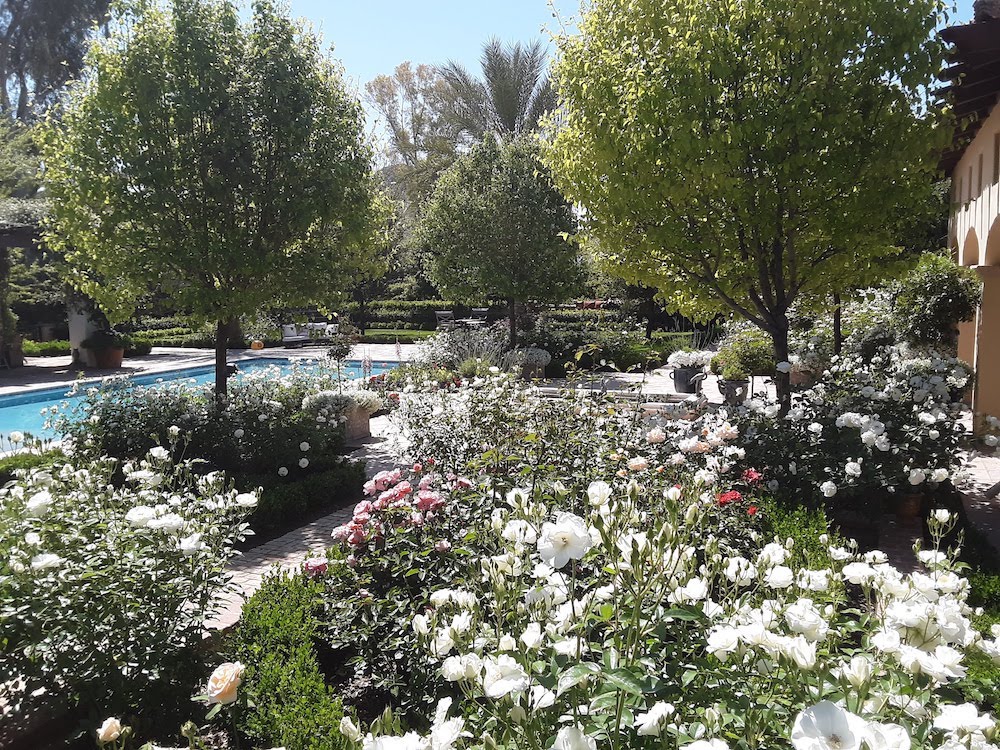 A to Z Tree & Turf Landscape Project