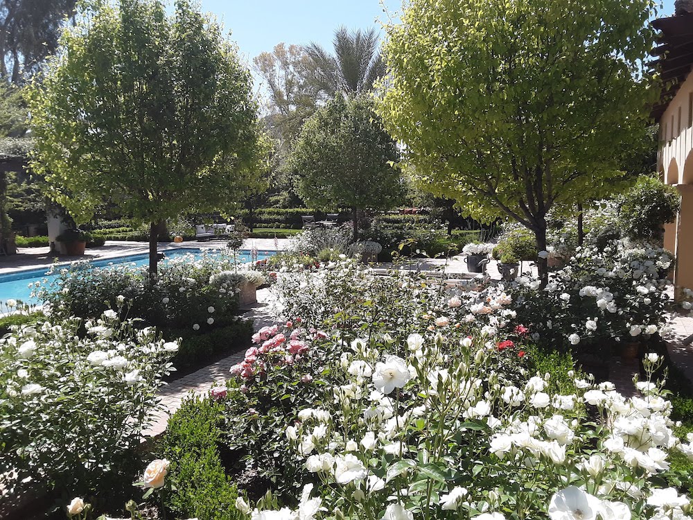 A to Z Tree & Turf Landscape Project