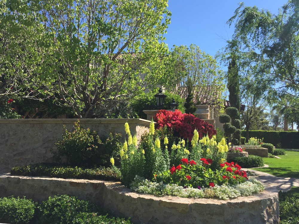 Dbm - A to Z Tree & Turf