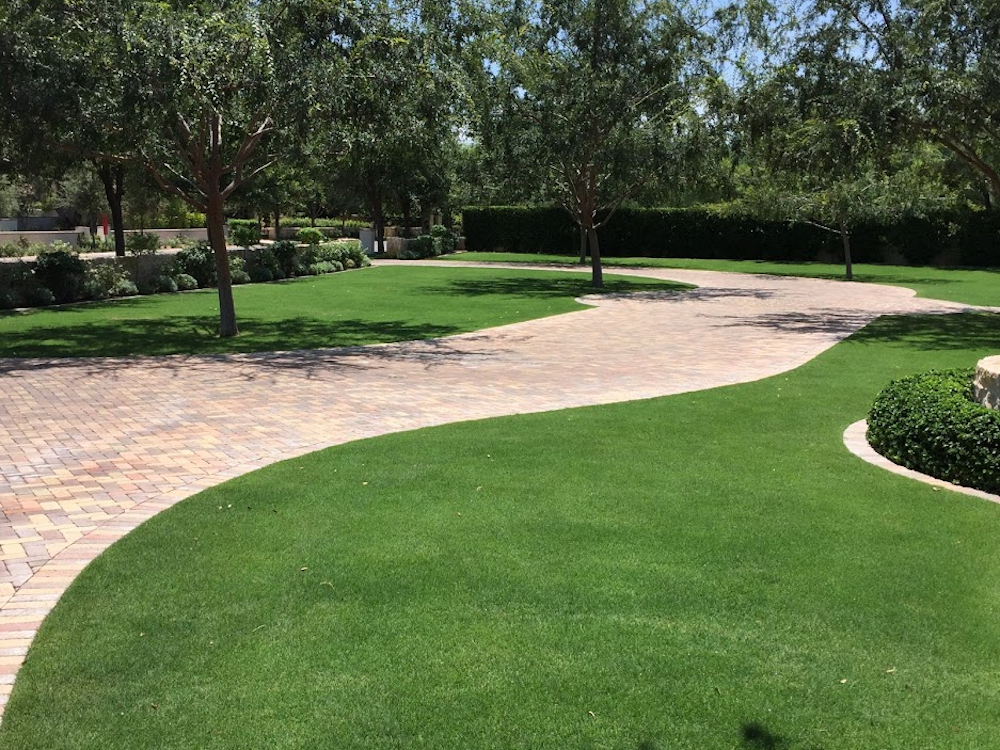 Dbm - A to Z Tree & Turf