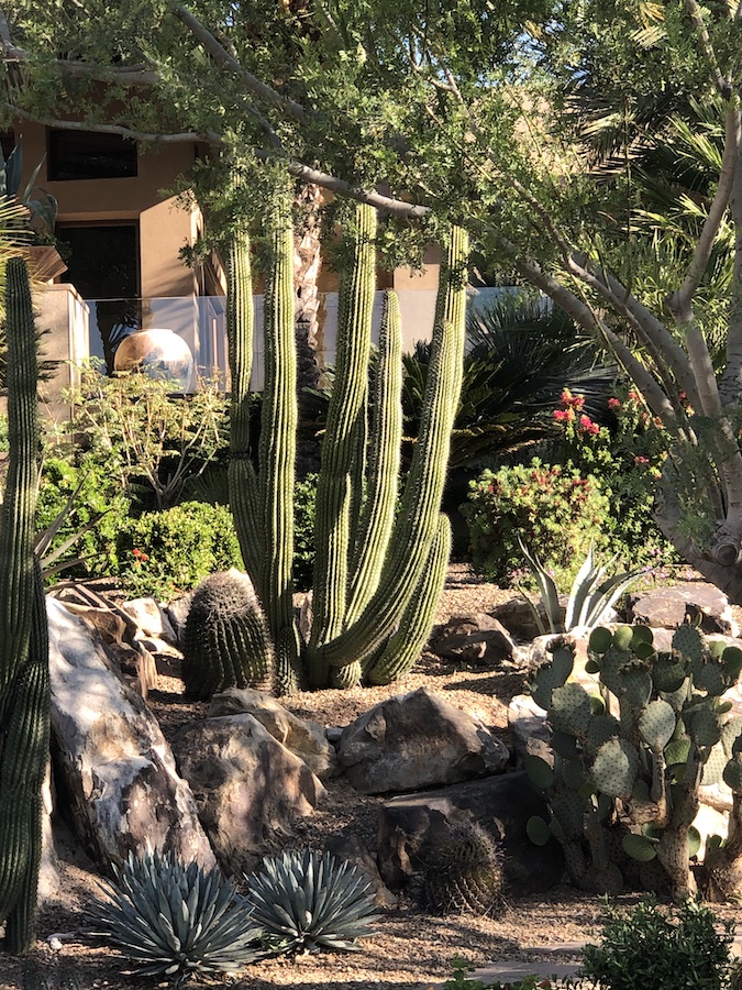 Desert Scape - A to Z Tree & Turf