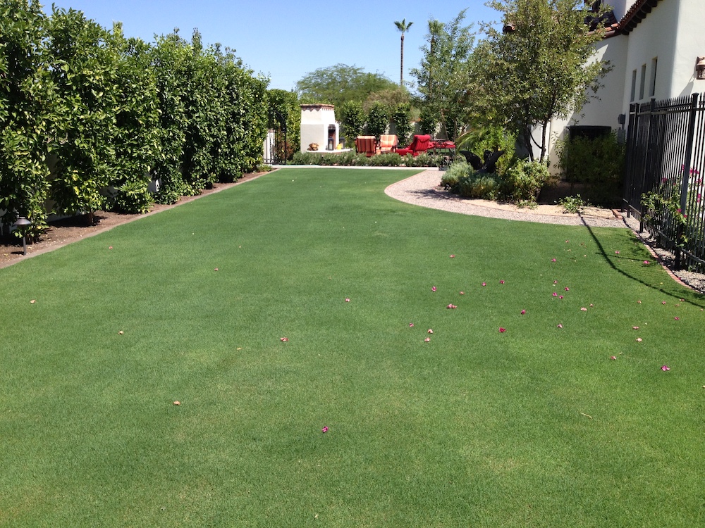 Dustin S Iphone - A to Z Tree & Turf