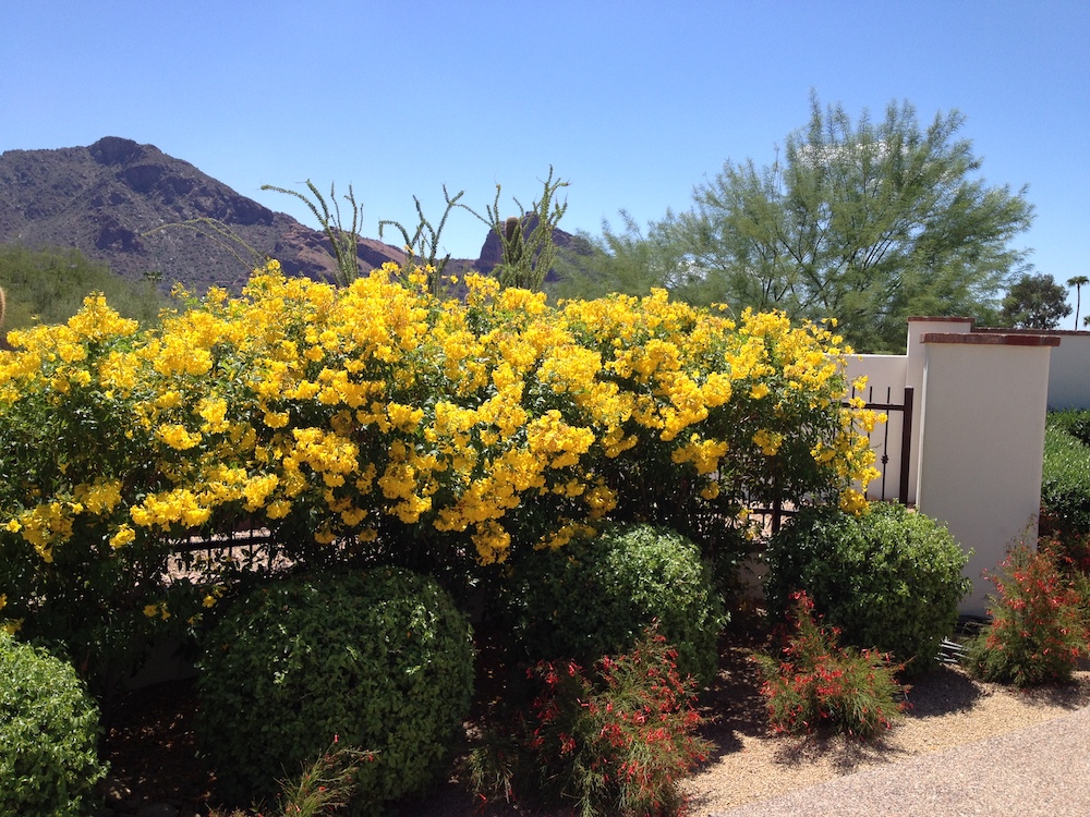 Dustin S Iphone - A to Z Tree & Turf