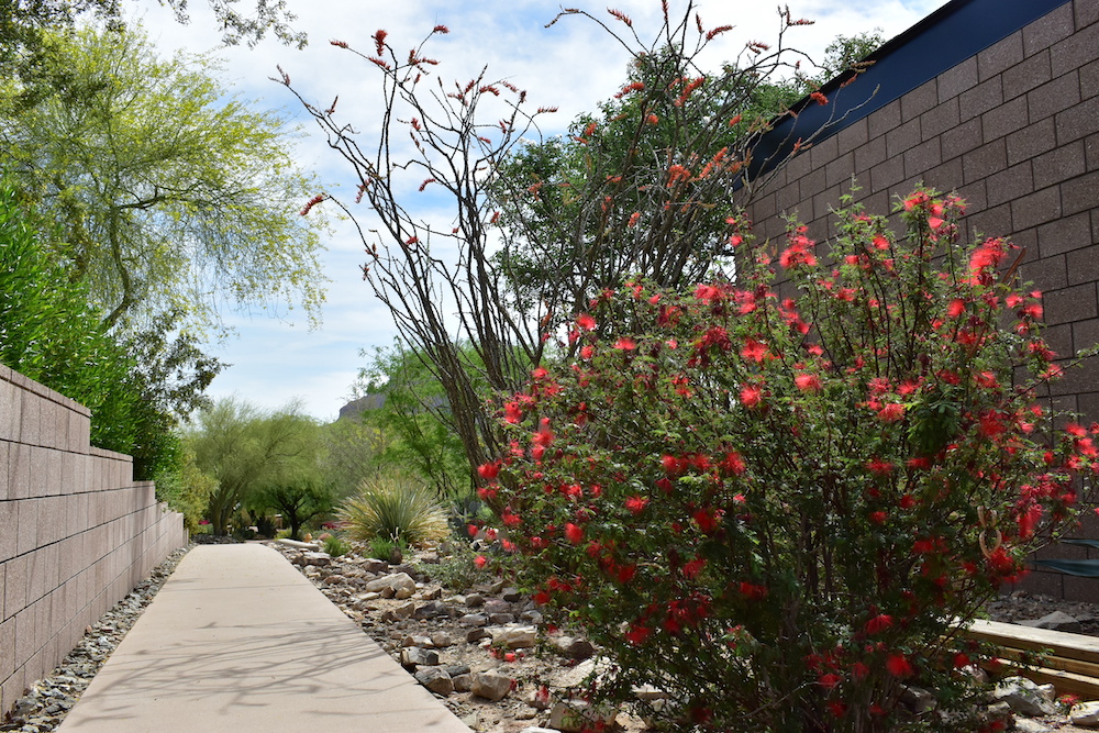 Fka - A to Z Tree & Turf