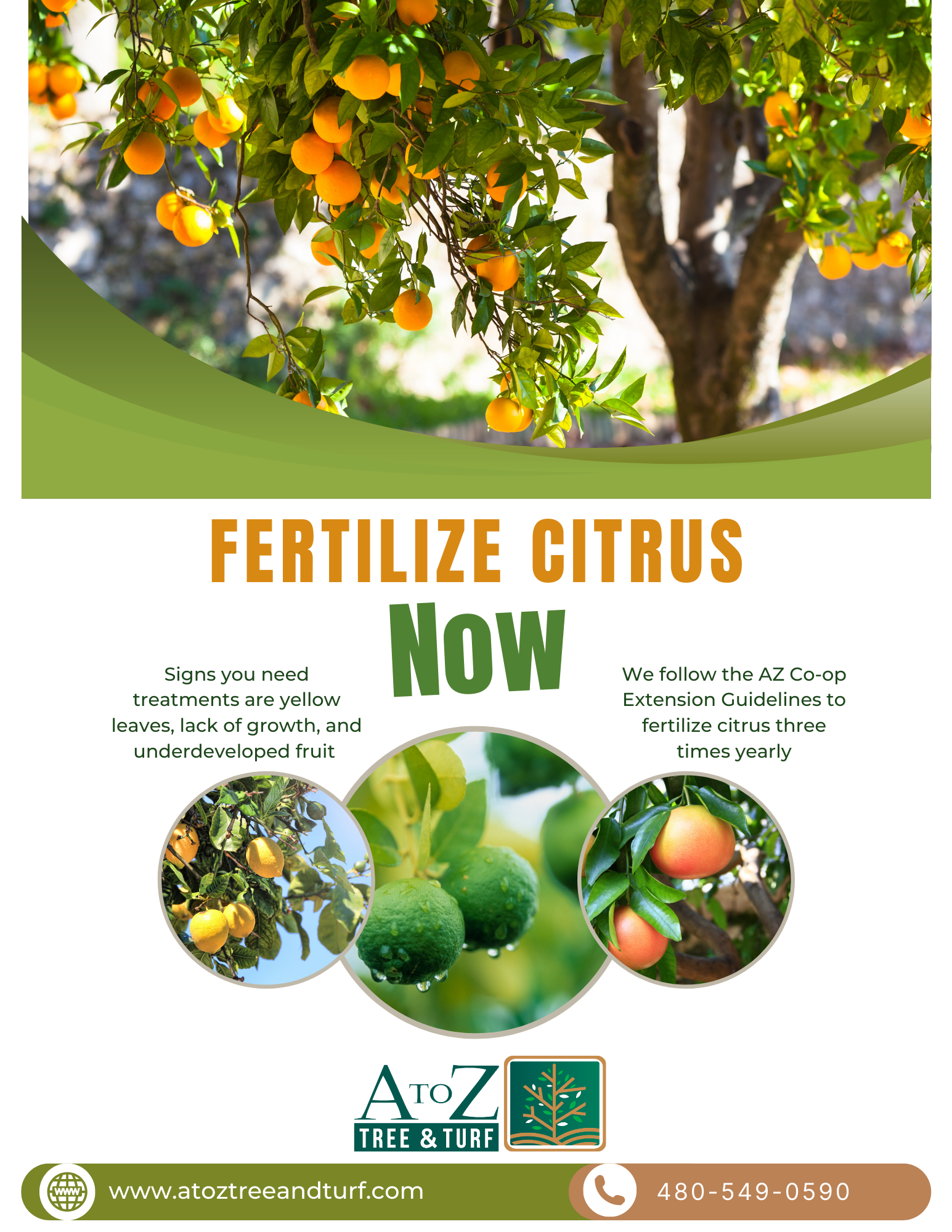Fertilize Citrus .. - A to Z Tree & Turf