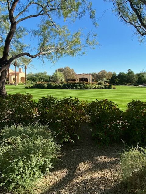 Img Rotated - A to Z Tree & Turf