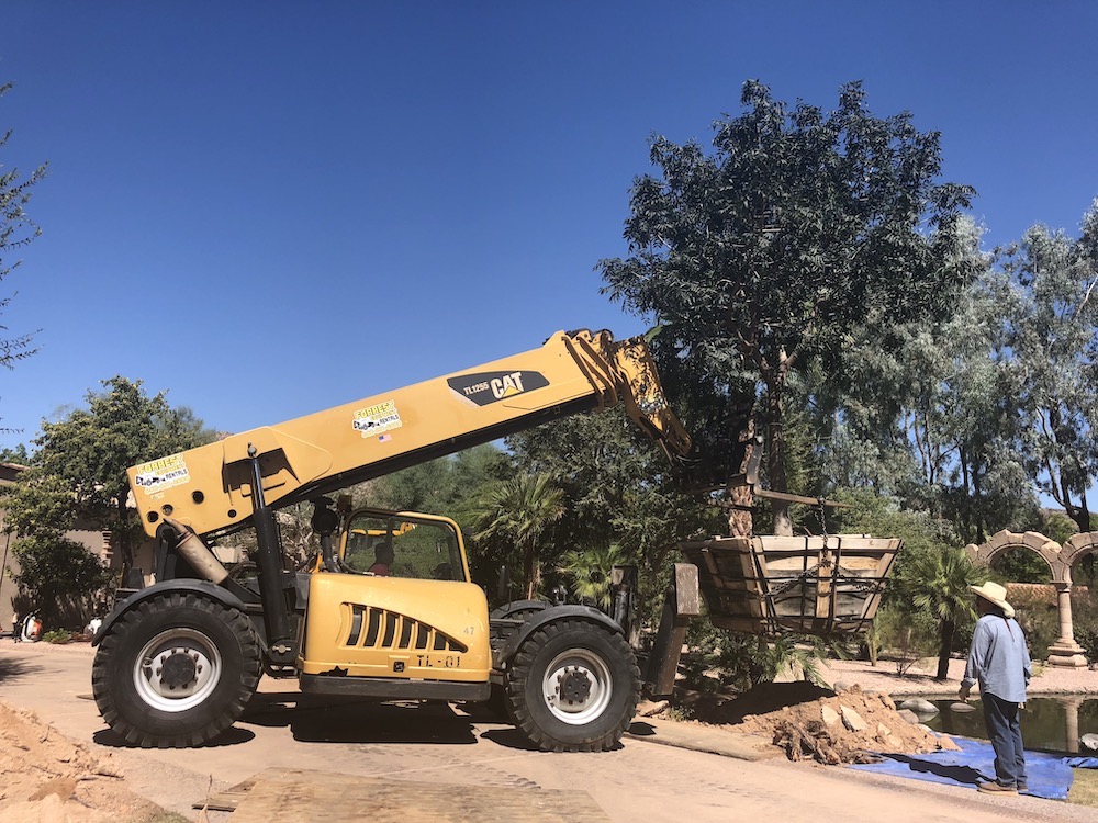 Img - A to Z Tree & Turf