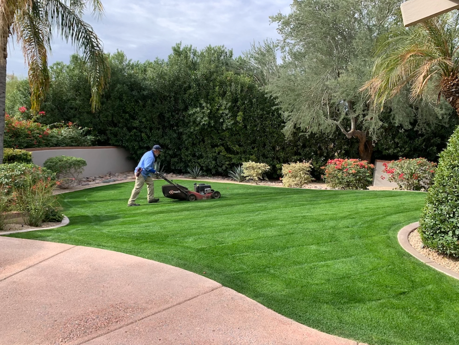 Screen Shot At - A to Z Tree & Turf